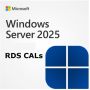 Microsoft Server 2025 - 50 Rds User Cals