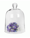 Cake Dome Bell Dome Lrg 34CM H X 24CM W - 34CM H X 24CM W