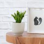 Shrek Ears Plant - In Spiced Cream Calandiva Planter