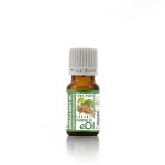 Angelica Root Essential Oil Organic - 10 Ml