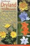 Northwest Dryland Wildflowers Paperback