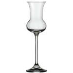 Tulip Grappa Glass