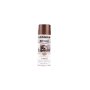 Spray Paint Rust-oleum Metallic Dark Copper 312G