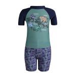 Boys Dino Ss Rashvest Set S25-AOP