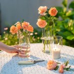 Boho Style Glass Cylinder Vases Set Of 6 - Transparent Straight-sided Flower Vases For Centerpieces Events And Home Decor - Mixe