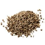 Chaste Tree Berries Vitex Agnus-castus - Bulk - 500G