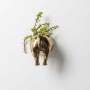 Rhino Wall Planter Head/tail - Bronze / Tail