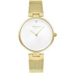Diamant-gold White Dial Gold Mesh Strap Lds V256LXGIMG