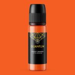 Premium Tattoo Ink - Agent Orange 30ML