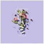 Break Digipak Cd 2016 Cd