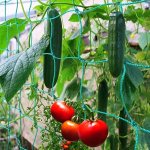 1PC Plant Climbing Net 179.83CM 89.92CM Trellis Netting For Climbing Plants Planting Supplies & Tools High Quality Nylon Garden