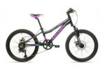 20" Disc Girls