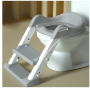 Foldable Kids Potty Training Toilet Seat With Step Ladder