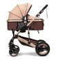 Baby Stroller - 2 In 1 - Brown