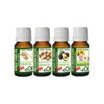 New Mom's Oils | CARRIER OILS MINI Collection