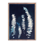 Climbing Fern I Art Print - A3