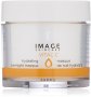 Image Skincare Vital C Hydrating Overnight Masque 3.2 Oz.