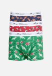 Underwear - Multi