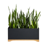 Tao Planter - Xlarge