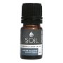 Aromatherapy Oil 5ML Frankincense