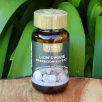 Lion’s Mane Mushroom Extract 450MG Sfera Bio Nutrition