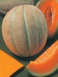 Melon Hales Best Seed - 50 G Raw Seed