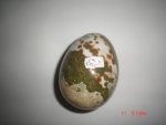 Ocean Jasper Stone Egg SSP274