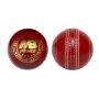 Prince 4PC Red Cricket Ball 70 Overs - 156G