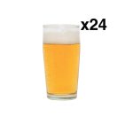 Willy Glasses 24PK