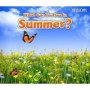 What Can You See In Summer?   Paperback