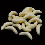 50PCS Soft Fishing Lures Worm Bait - Pouch-packaged Rubber Freshwater Fishing Baits For Bass Trout Panfish Lead-free Hookless
