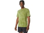 ASICS Men's Metarun 1 2 Zip Ss Top - LG Cactus