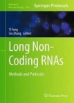 Long Non-coding Rnas - Methods And Protocols Hardcover 1ST Ed. 2016