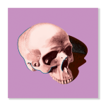 Pop Skull 6 Art Print - A2