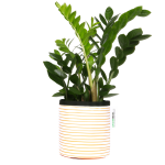 Orange Stripy Planter - Small