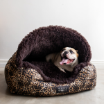 Burrow Dome Bed - Small Leopard Print Canvas With Brown Calming Fabric