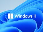 Microsoft Windows 11 Professional