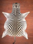 Aa Grade Zebra Hide 030 L