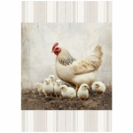 FSC1042 Kitchen Towel