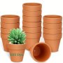 16PCS 2'' Terra Cotta Pots Pottery Planter Cactus Flower Pots Succulent Pot With Drainage Hole Great For Plants Table Decor Crafts