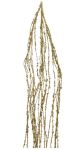 Amaranthus On Stem Gold