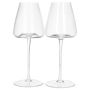Modern Flat-bottom Wine Glasses- Pack Of 2
