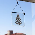 Velt Botanical Frame - Ferns - 12CM X 12CM Square
