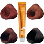 Cdc Professional Hair Colour Ammonia Free Red Levels 4.62-7.46 100ML