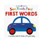 See Touch Feel: First Words