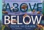 Above And Below: Dusk Till Dawn - Lift The Flaps To See Nature&  39 S Wonders Unfold   Hardcover