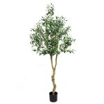 Olive Tree 210CM