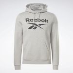 Reebok Men's Identity Fleece Stacked Logo Pullover Hoodie - Medium Grey