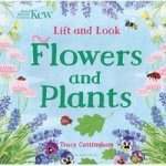 Kew: Lift And Look Flowers And Plants Board Book