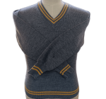 Genius Grey And Gold Striped Long Sleeve School Jersey - Unisex
